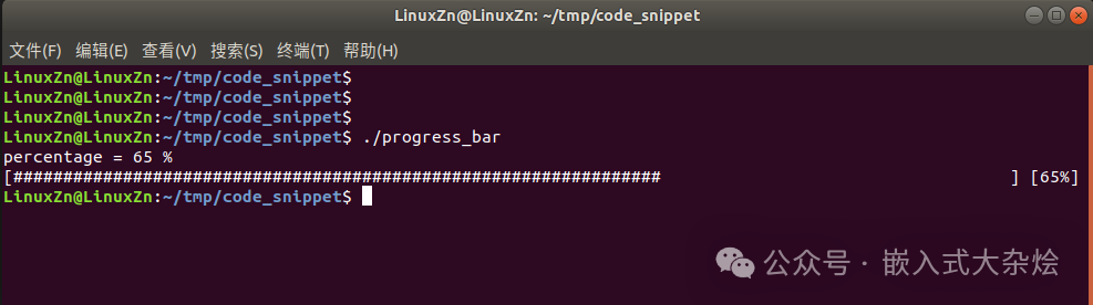 终端进度条运行结果