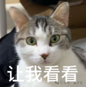 一只表情好奇的猫咪配图，文字为“让我看看”