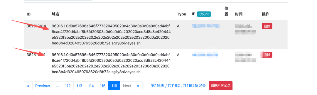 DNSLog 平台收到的外带请求记录列表