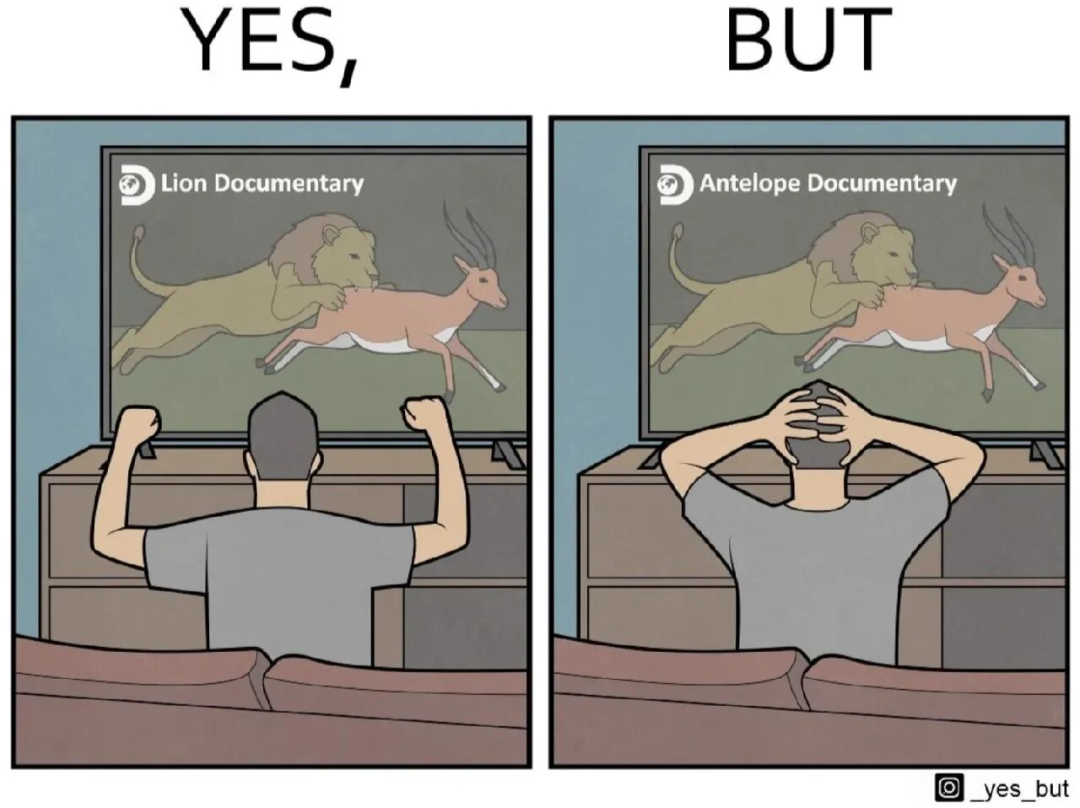观看狮子纪录片与羚羊纪录片的不同反应对比漫画