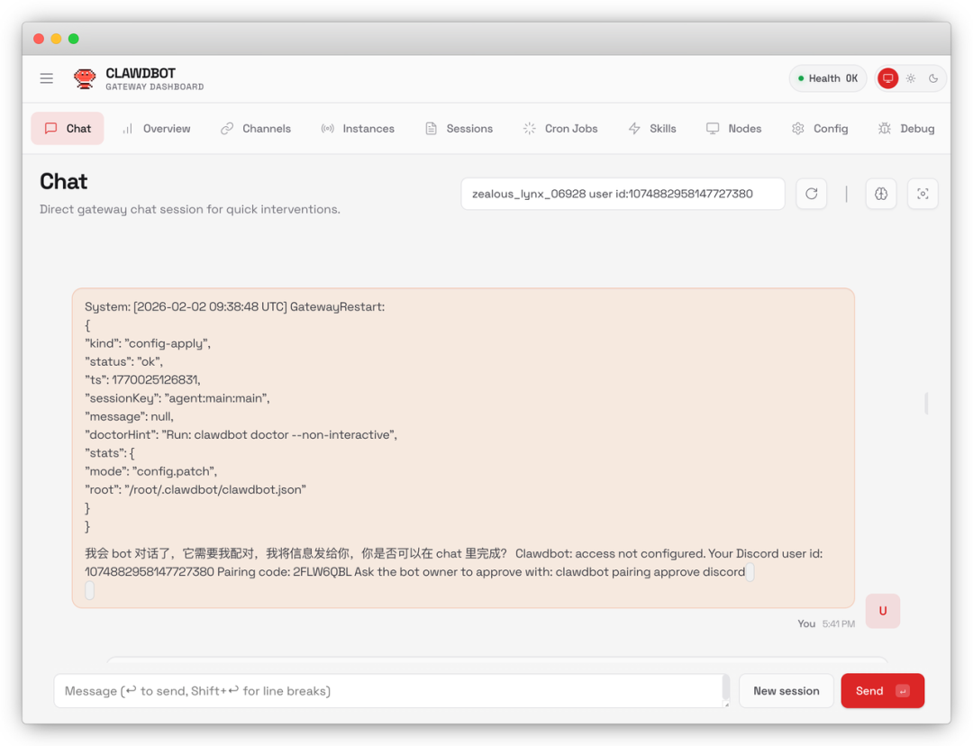 聊天窗口显示 Discord Bot 的配对请求信息