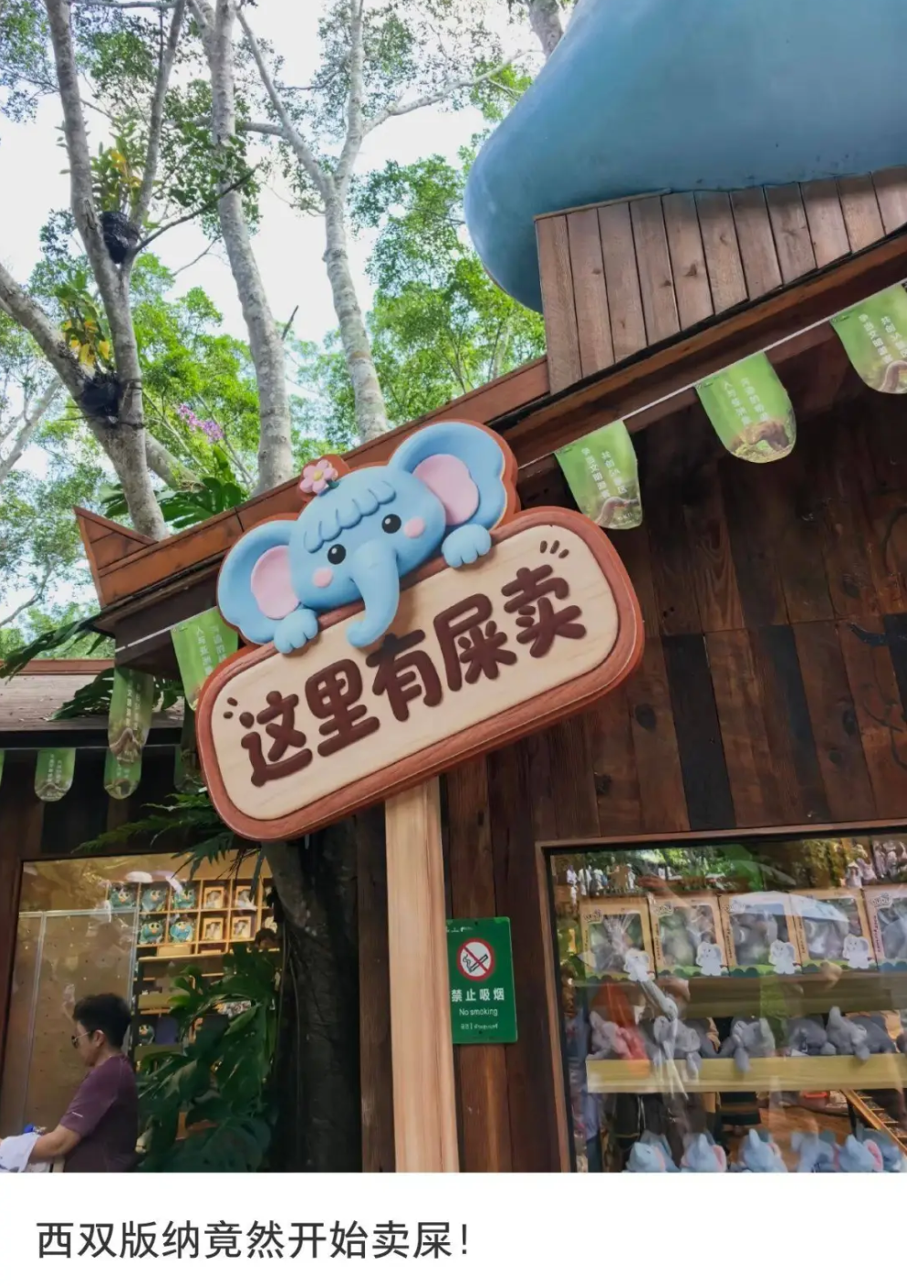 西双版纳景区大象粪便文创招牌“这里有屎卖”