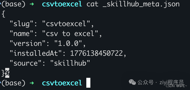 终端查看 _skillhub_meta.json 内容
