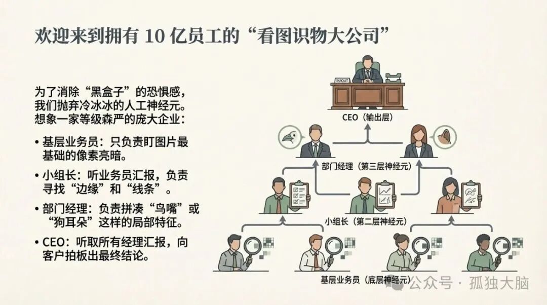 “看图识物大公司”的层级组织结构