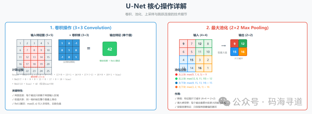 U-Net 核心操作详解