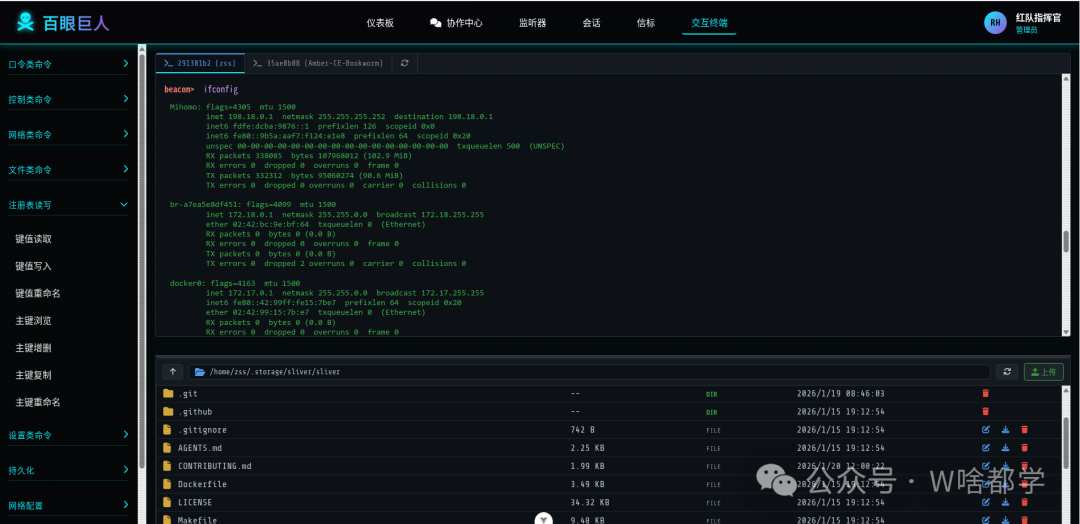 百眼巨人终端交互与命令执行界面