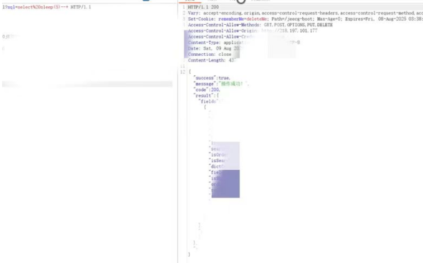 代码编辑器与响应展示，包含 SQL 操作成功信息
