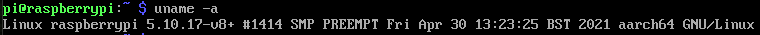 终端中uname -a命令的输出，显示内核版本为5.10.17，架构为aarch64