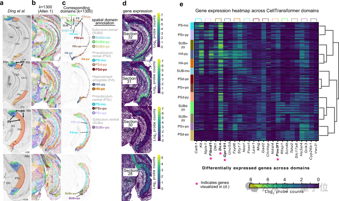 海马体分区识别结果
