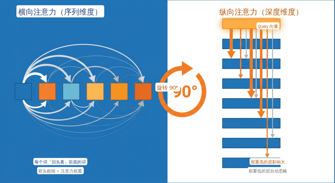 横向注意力（序列维度）与纵向注意力（深度维度）的对比示意图