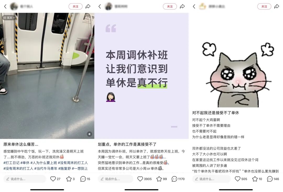 网友对单休制度的吐槽与共鸣截图