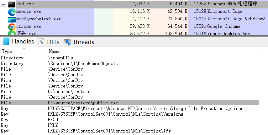 子进程cmd.exe的句柄列表,只包含public.txt