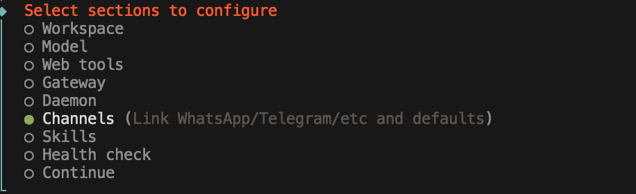 配置向导中选择 Channels 配置项