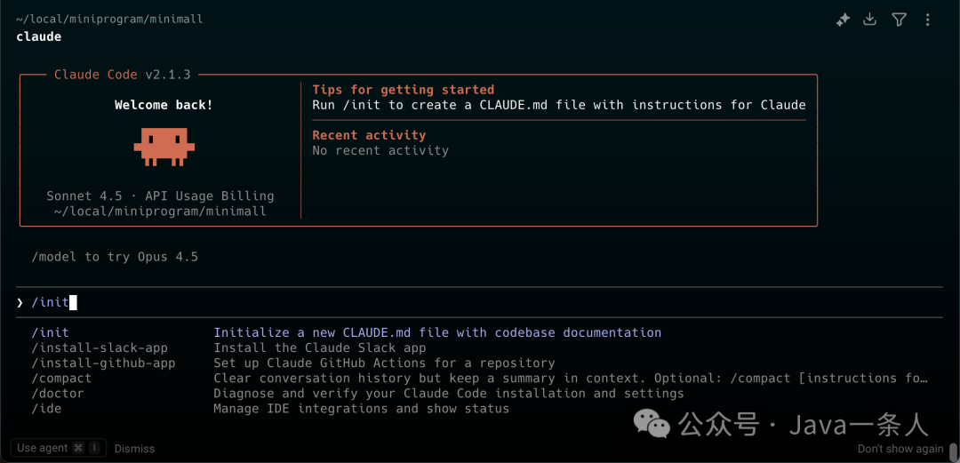 Claude Code v2.1.3 启动欢迎页及 /init 命令执行界面，含像素风格橙色小人图标、路径提示与命令选项说明