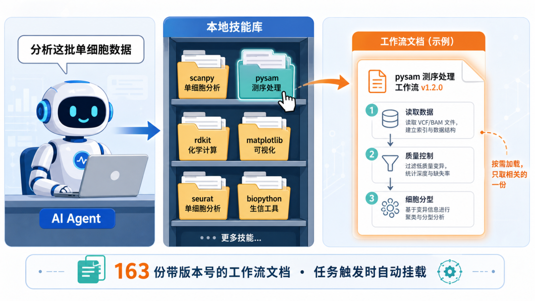 scientific-agent-skills 本地技能库按需加载工作流示意图