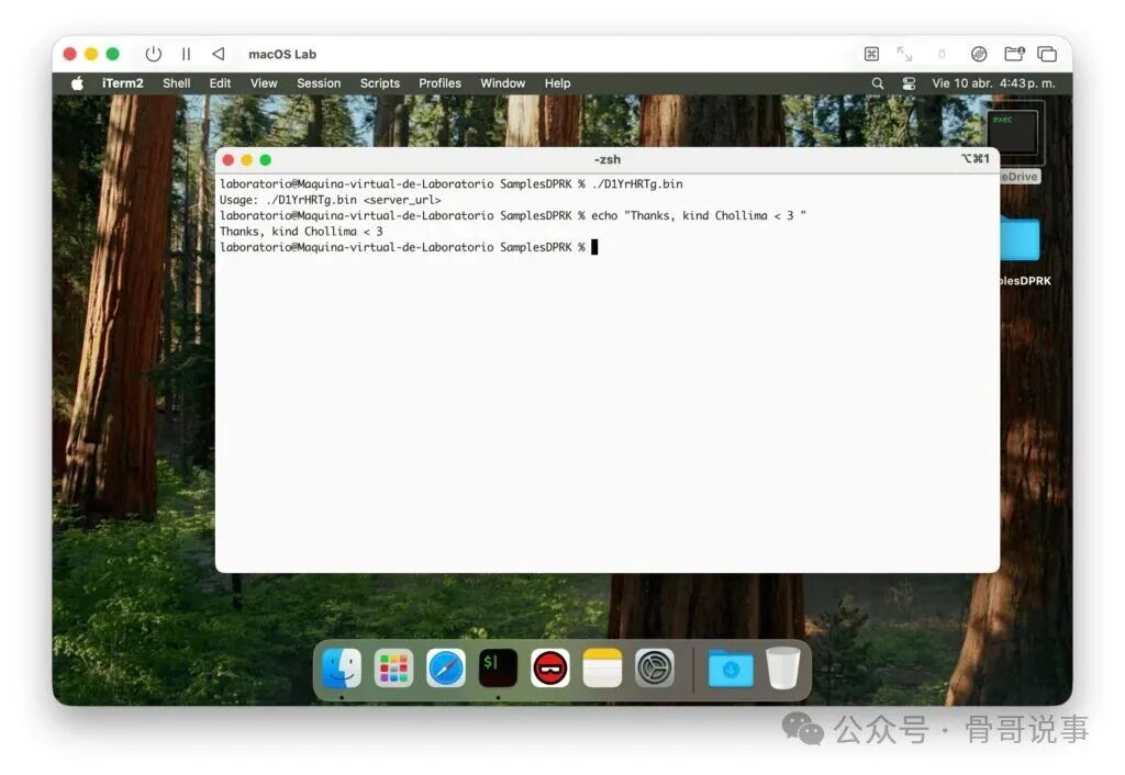 终端中运行D1YrHRTg.bin，它同样输出了Usage帮助信息
