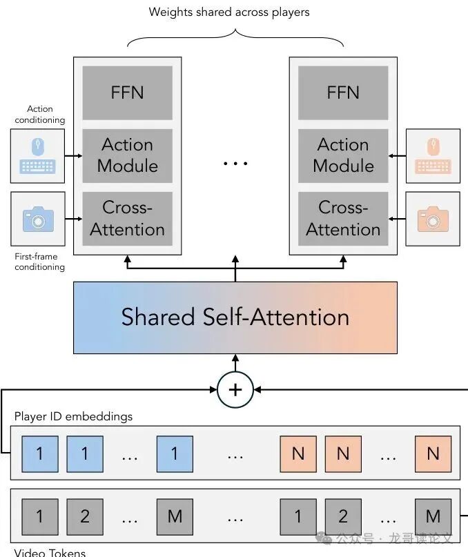 展示修改后的多玩家共享注意力机制的DiT模块示意图