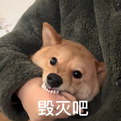 “毁灭吧”柴犬搞笑表情包