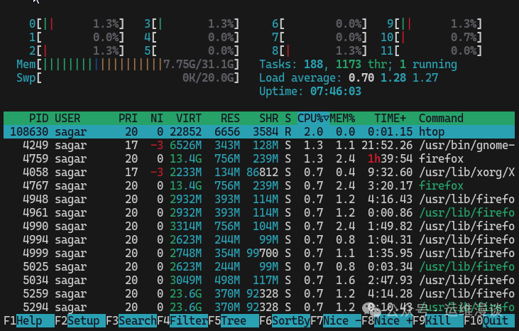 htop监控界面显示CPU、内存和进程信息