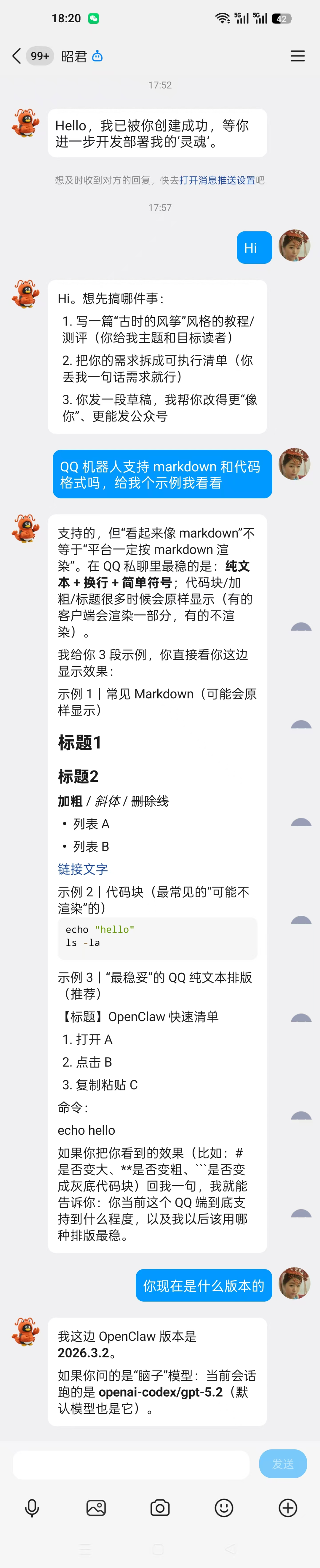 与机器人对话测试Markdown支持的截图
