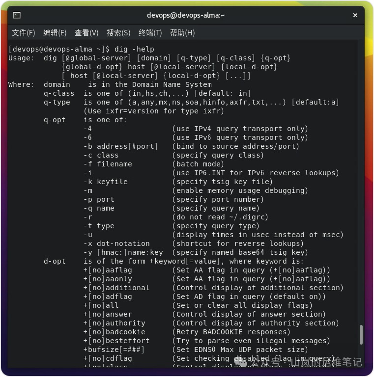 dig命令帮助信息