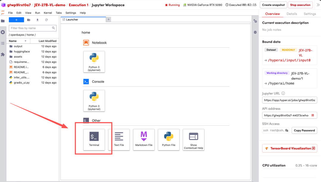 Jupyter Workspace：Terminal启动入口