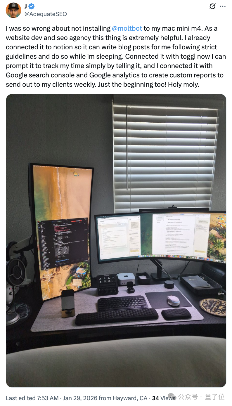 一位开发者的办公环境,展示了Moltbot在Notion、时间跟踪和数据分析中的集成应用