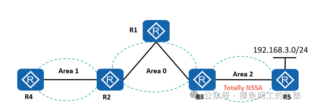 Totally NSSA区域示意图