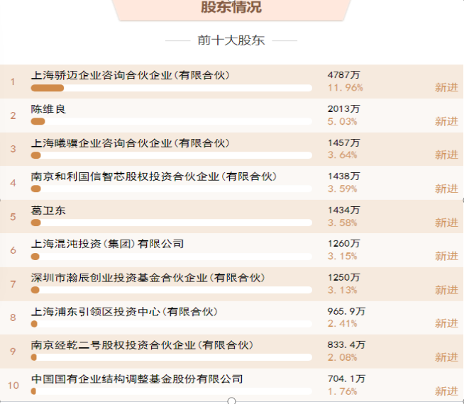 前十大股东构成表格