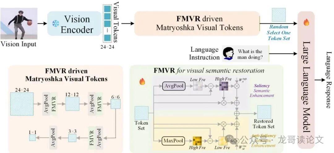 FMVR-LLaVA整体架构图