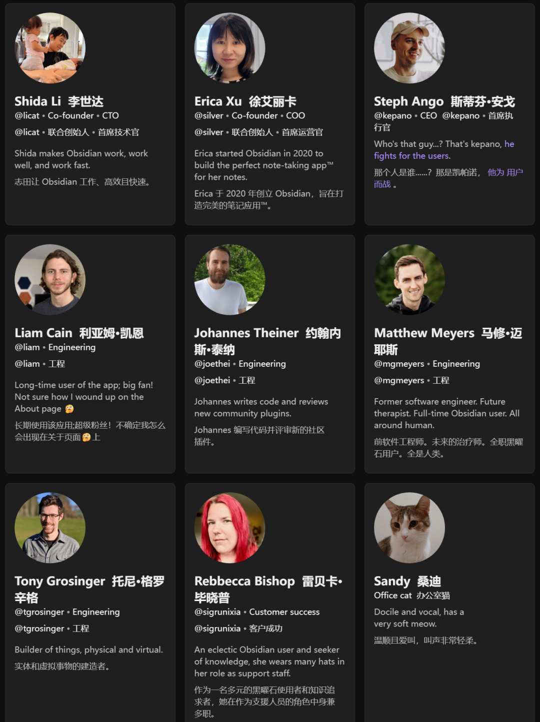 Obsidian团队成员介绍