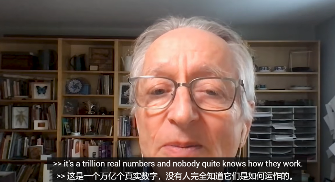 辛顿谈论神经网络参数量