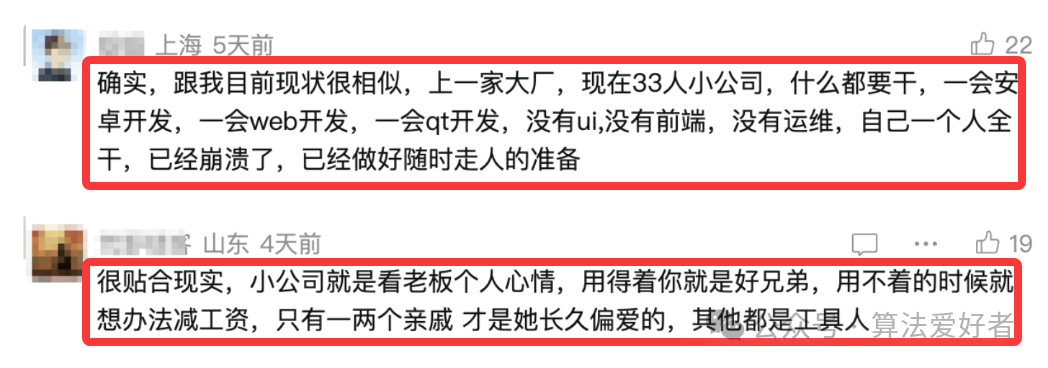 网友评论截图，吐槽小公司一人多职和老板偏心的现象