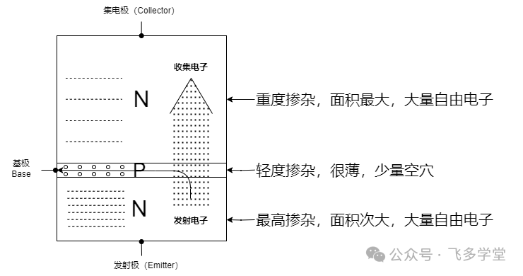 NPN三极管内部结构与掺杂示意