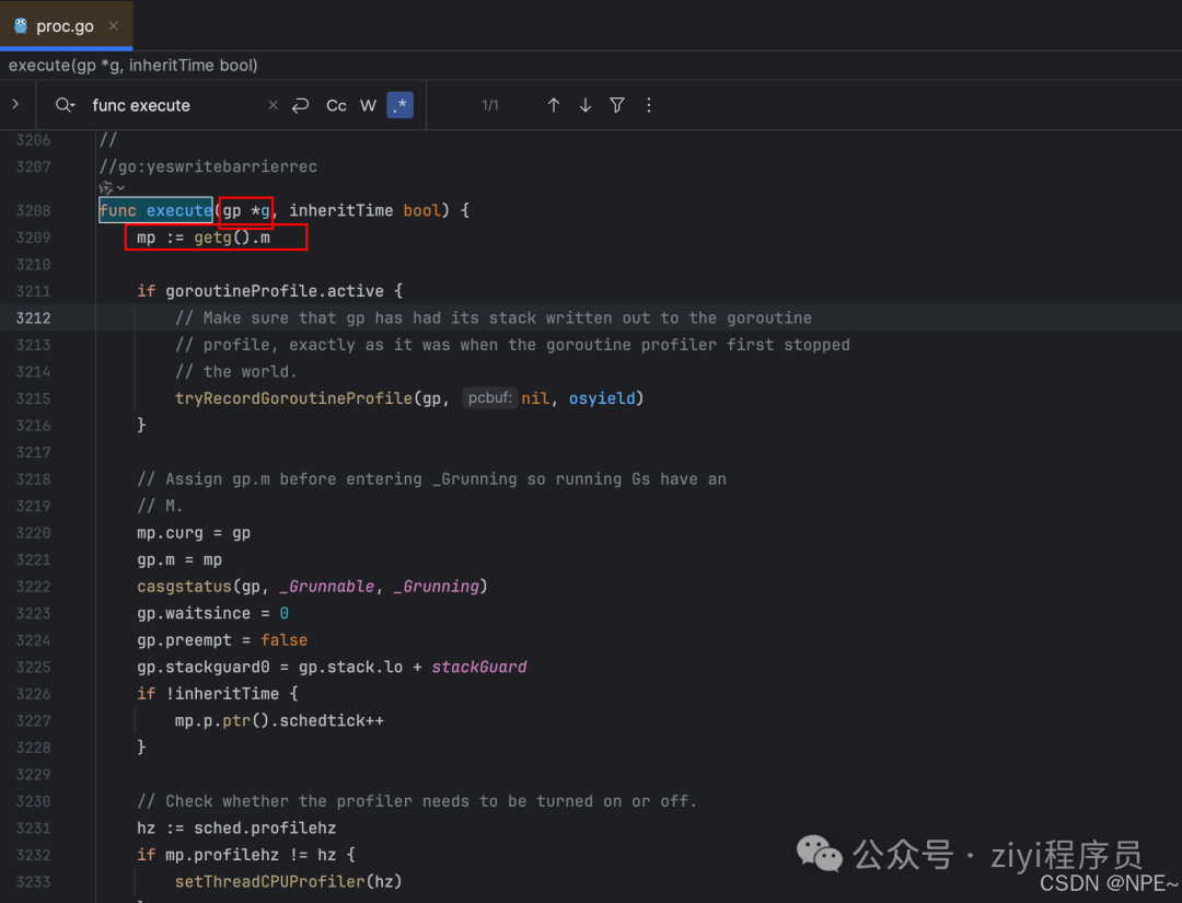 Go runtime中execute函数源码片段