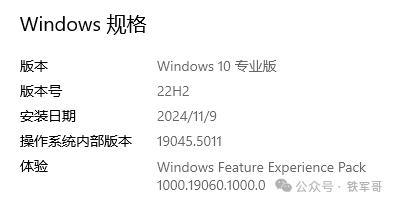Windows 10 专业版 22H2 系统规格信息