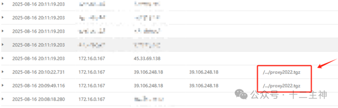 日志显示下载proxy2022.tgz文件