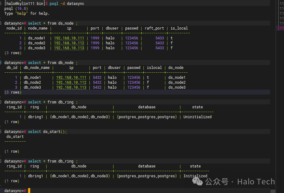 DS系统初始化与启动结果