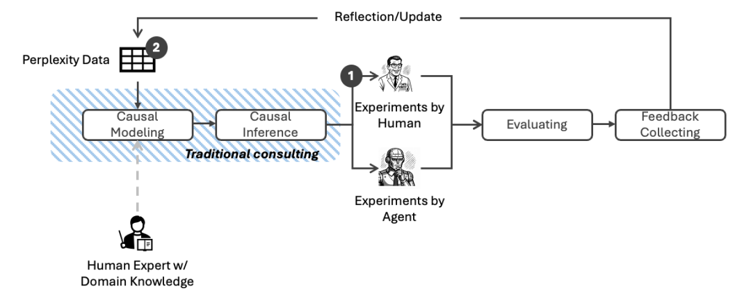 人机协作实验与模型优化闭环图