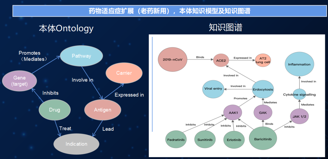 药物适应症扩展(老药新用)知识图谱