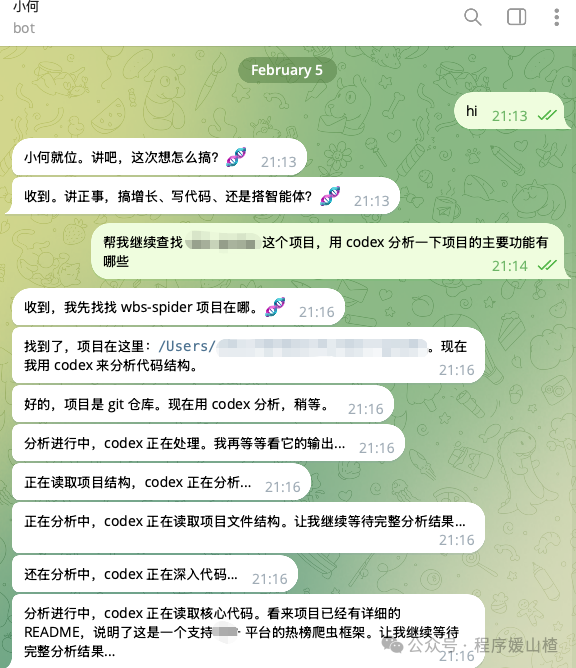 AI 代理分析代码项目的聊天示例