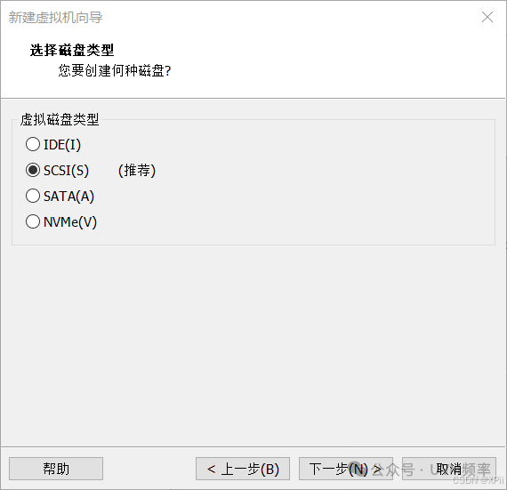 选择SCSI磁盘类型