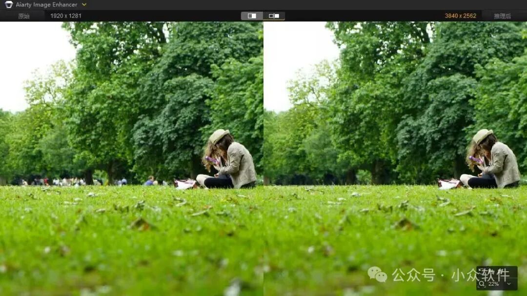 Aiarty AI消除功能演示：移除草坪上远处的人群，使画面主体更突出