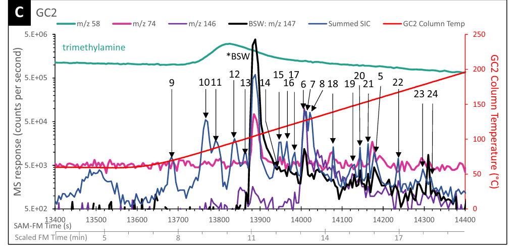 GC2 色谱图显示有机分子峰与疑似氮杂环信号