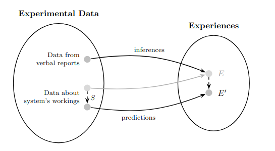 意识理论中的替代链模型