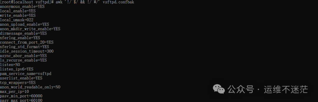 终端显示清理后的配置文件内容