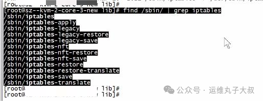 Calico容器内工具链