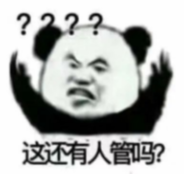 熊猫头表情包配文"这还有人管吗?"