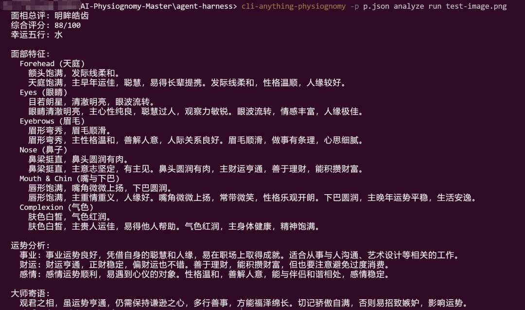 在 CLI 中执行 AI 面相分析并查看结构化结果