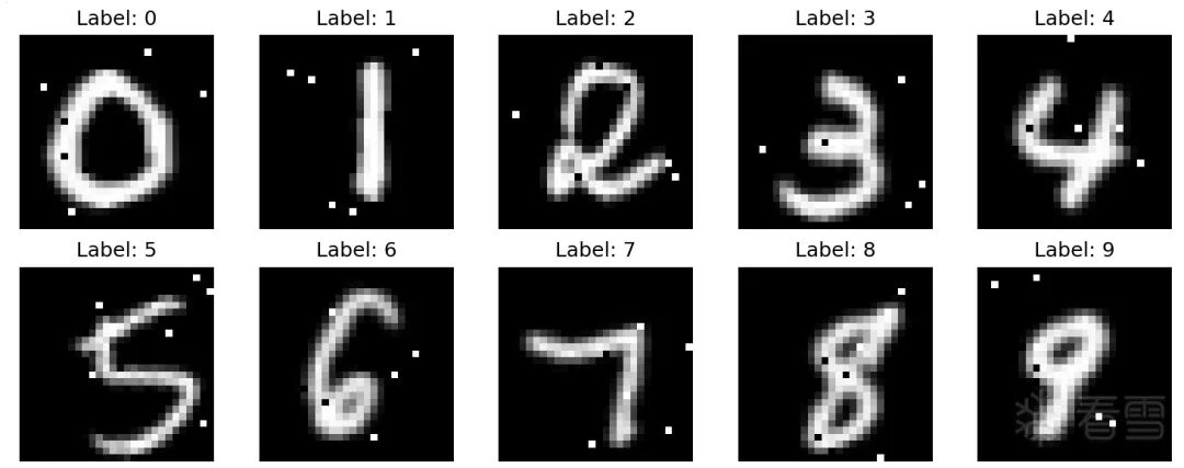 手写数字MNIST扰动样本示例